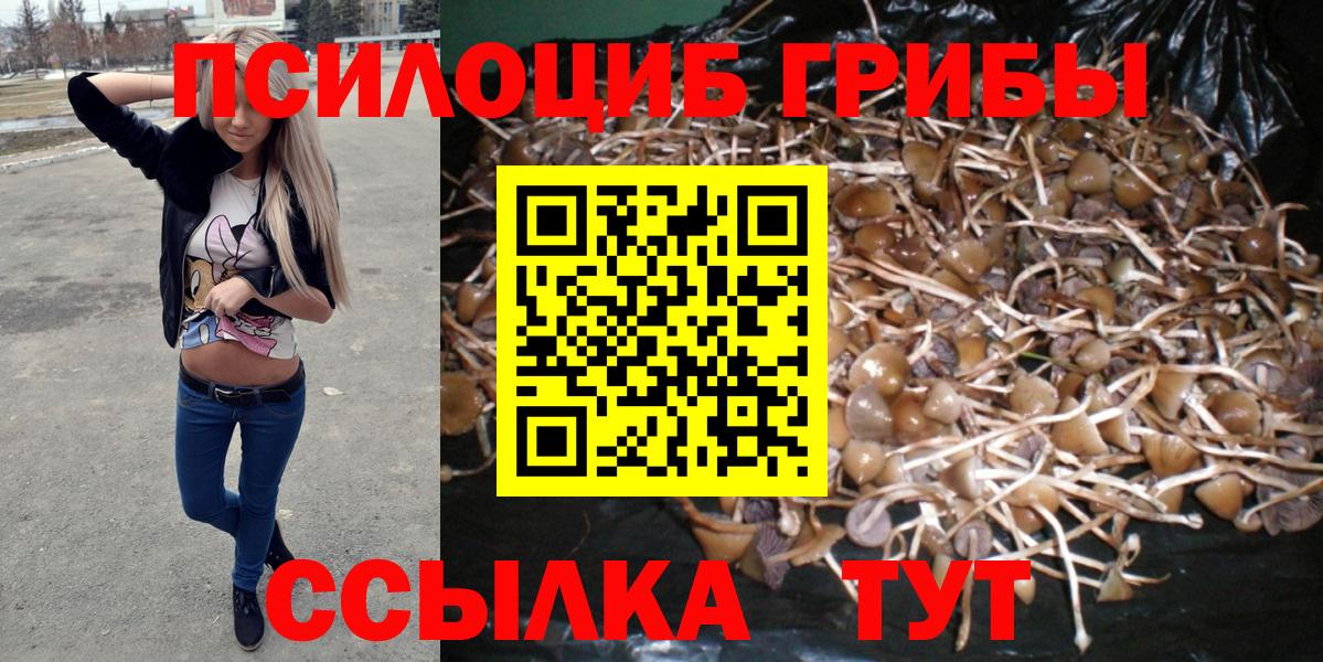 Псилоцибиновые грибы мицелий  Вход с VPN  Мурманск 